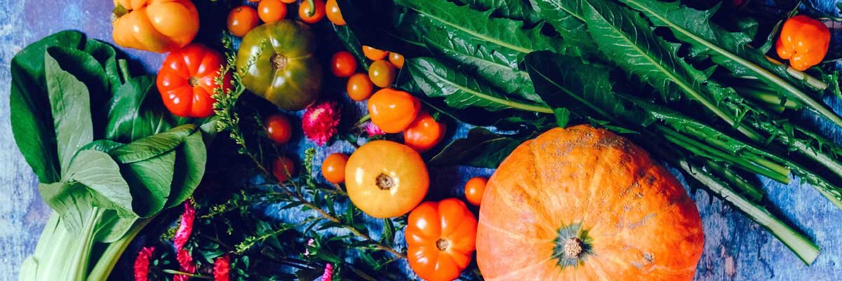 Obst und gemüse aufbewahrung - Die ausgezeichnetesten Obst und gemüse aufbewahrung unter die Lupe genommen!